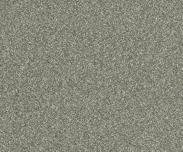 10008