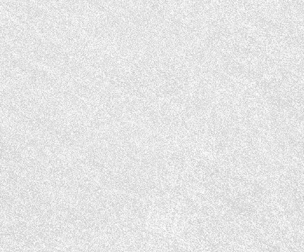 25013